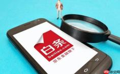 京东白条额度如何提升_京东白条怎么借款【指南】