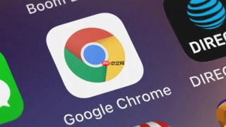 google chrome怎么清理cookie信息_google chrome浏览器隐私保护操作流程