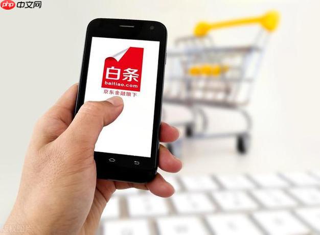 京东白条额度怎么提升_快速提额的实用方法【技巧】
