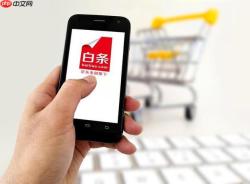 京东白条额度怎么提升_快速提额的实用方法【技巧】