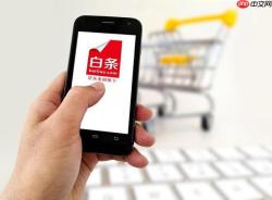 京东白条还款日期怎么算_京东白条怎么还款【规则】