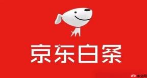 京东白条怎么查看账单_京东白条历史账单查询方法【说明】