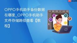 OPPO手机助手备份数据在哪里_OPPO手机助手文件存储路径查看【教程】