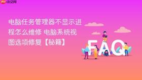 电脑任务管理器不显示进程怎么维修 电脑系统视图选项修复【秘籍】