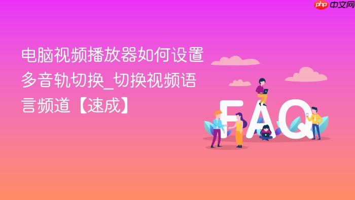 电脑视频播放器如何设置多音轨切换_切换视频语言频道【速成】