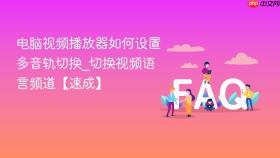 电脑视频播放器如何设置多音轨切换_切换视频语言频道【速成】
