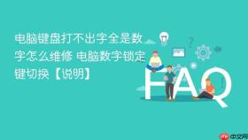 电脑键盘打不出字全是数字怎么维修 电脑数字锁定键切换【说明】