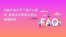 电脑不能打字了是什么原因_键盘失灵排查与驱动修复教程