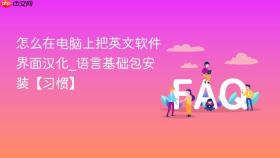 怎么在电脑上把英文软件界面汉化_语言基础包安装【习惯】