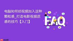 电脑如何给视频加入这种颗粒感_打造电影视频质感的技巧【入门】