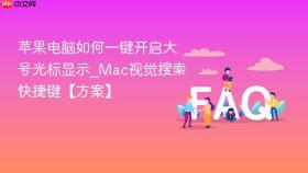 苹果电脑如何一键开启大号光标显示_mac视觉搜索快捷键【方案】