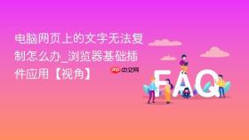 电脑网页上的文字无法复制怎么办_浏览器基础插件应用【视角】