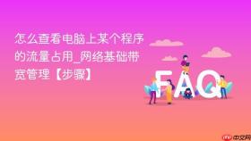 怎么查看电脑上某个程序的流量占用_网络基础带宽管理【步骤】