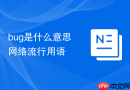 bug是什么意思网络流行用语