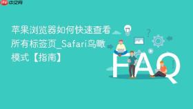 苹果浏览器如何快速查看所有标签页_safari鸟瞰模式【指南】