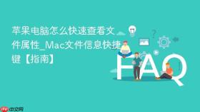 苹果电脑怎么快速查看文件属性_Mac文件信息快捷键【指南】