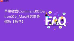 苹果键盘Command加Option加8_Mac开启屏幕缩放【教学】