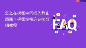 怎么在视频中间插入静止画面?视频定格冻结帧剪辑教程