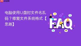 电脑使用u盘时文件名乱码？修复文件系统格式【思路】