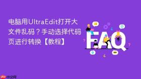 电脑用ultraedit打开大文件乱码？手动选择代码页进行转换【教程】