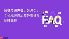 按键反馈声音太响怎么办？机械键盘加装静音棉与润轴教程