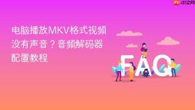 电脑播放MKV格式视频没有声音？音频解码器配置教程
