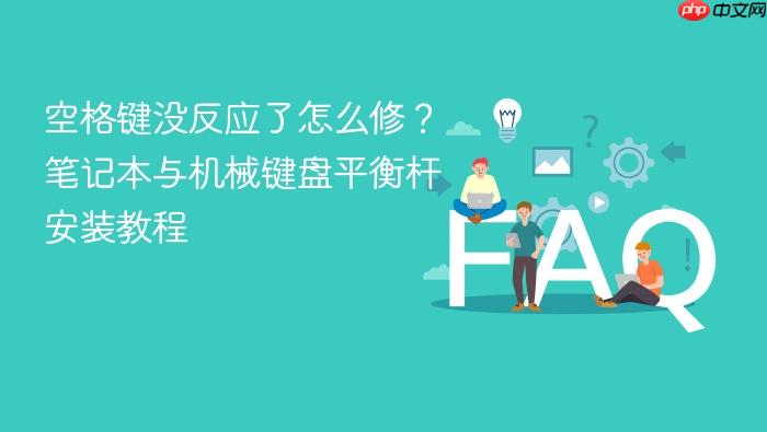 空格键没反应了怎么修?笔记本与机械键盘平衡杆安装教程