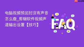电脑视频预览时没有声音怎么查_剪辑软件视频声道输出设置【技巧】