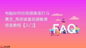 电脑如何给视频画面打马赛克_局部遮盖视频敏感信息教程【入门】