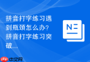 拼音打字练习遇到瓶颈怎么办？拼音打字练习突破难关技巧