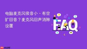 电脑麦克风吸音小、有空旷回音?麦克风回声消除设置