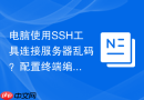 电脑使用SSH工具连接服务器乱码？配置终端编码为UTF8【攻略】