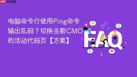 电脑命令行使用Ping命令输出乱码？切换当前CMD的活动代码页【方案】