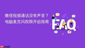 微信视频通话没有声音?电脑麦克风权限开启指南