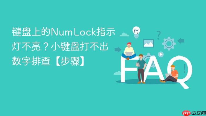 键盘上的numlock指示灯不亮？小键盘打不出数字排查【步骤】