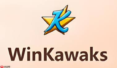 WinKawaks怎么双人？本地双人联机对战设置教程