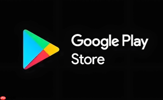 Google Play Store官方原版安装包_Google Play Store正版安全下载渠道