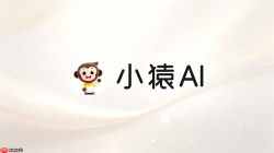 小猿AI口算PK防作弊与成年人验证流程