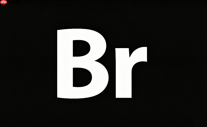 adobe bridge面板不见了怎么找回?视图重置操作步骤
