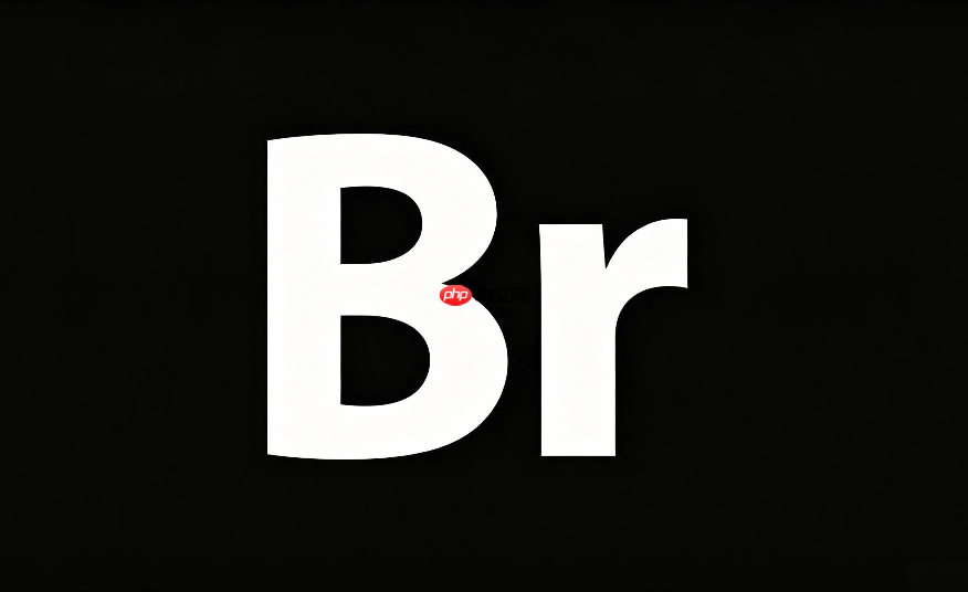 adobe bridge和lightroom哪个好用?软件优缺点深度对比
