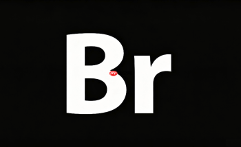 adobe bridge和lightroom哪个好用？软件优缺点深度对比