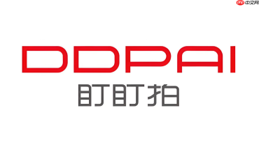 盯盯拍怎么看停车监控？离线记录查看操作