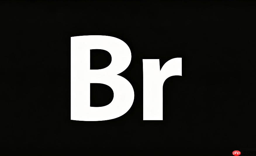 adobe bridge官方获取与安装流程指南