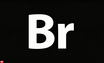 adobe bridge如何添加关键词?素材搜索定位技巧