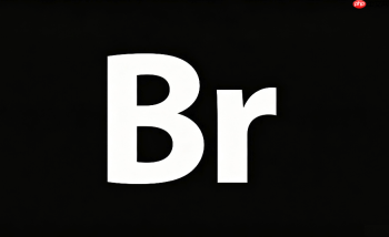 Adobe Bridge如何安全移动文件？跨硬盘素材迁移技巧