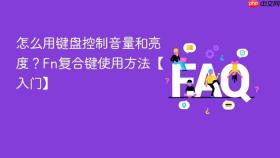 怎么用键盘控制音量和亮度?fn复合键使用方法【入门】