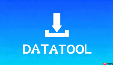 datatool官方正版入口下载渠道