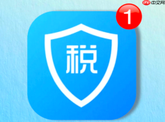 个人所得税APP下载与安装教程详解