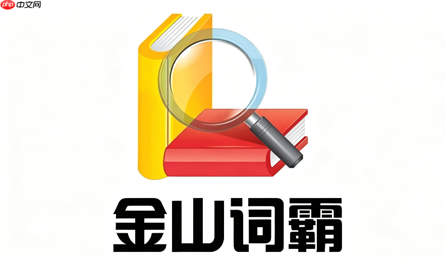 金山词霸在线翻译如何纠错?翻译文本修改与优化