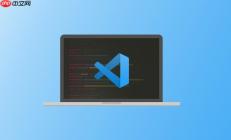 VSCode调试器与Python环境的联动原理分析